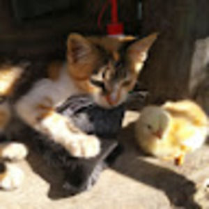 Meet your Posher, Marcy